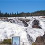 Magpie Falls