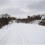 Brantford