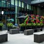 Oretta King West