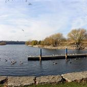 Bayfront Park
