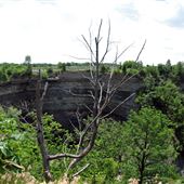 Devil's Punch Bowl Conservation Area HCA