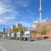 The Power Plant Contemporary Art Gallery