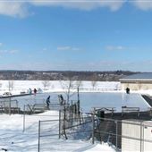 Waterfront Ice Rink - Hamilton Waterfront Trust