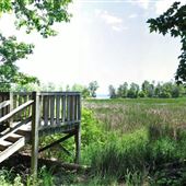 Rattray Marsh Conservation Area CVC