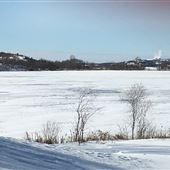 Robinson Lake