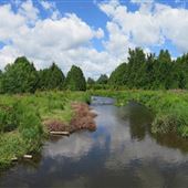 Upper Credit Conservation Area CVC