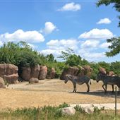 Toronto Zoo