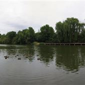 Lake Wabukayne Park