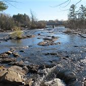 Blakeney Rapids