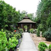 Rideau Woodland Ramble