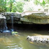 Rockway Conservation Area NPCA