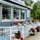 The Blue Willow Tea Shop