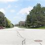 Pine Valley Crescent