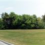 Highway 407 and Highway 7