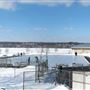 Waterfront Ice Rink - Hamilton Waterfront Trust