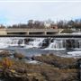 Almonte