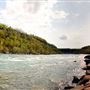 Niagara Glen Nature Reserve