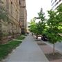 Old Toronto City Hall