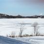 Robinson Lake