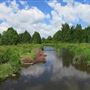 Upper Credit Conservation Area CVC