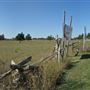 Prince Edward County