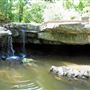 Rockway Conservation Area NPCA