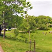 Bickford Park