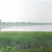 Britannia Park and Beach