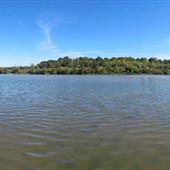 Cootes Paradise - Royal Botanical Gardens