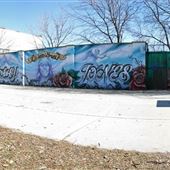 Charles G Williams Park