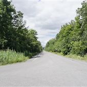 Greenwood Conservation Area TRCA