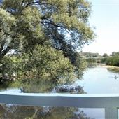 Lynde Shores Conservation Area