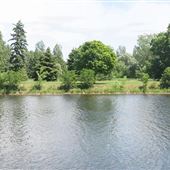 Maple Island