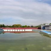 Moses Springer Outdoor Pool