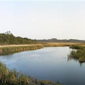 Pigeon River Headwaters Conservation Area