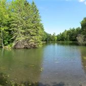St Johns Conservation Area NPCA