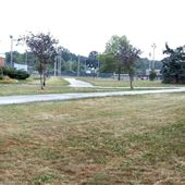 Springfield Park and Baseball Field