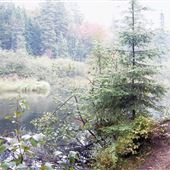 Whiskey Rapids