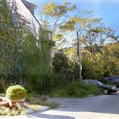 Wilkins Avenue