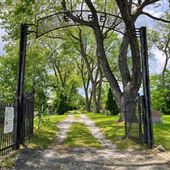 Anglican Cemetery