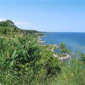 Sylvan Park