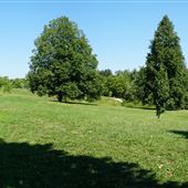 Lakeside Park Kitchener