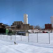 Hollinger Park - Fred Salvador Athletic Field