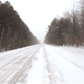 Larose Forest