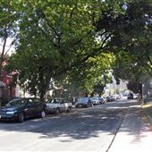 Trinity Street - S of King St E & N of Eastern Ave