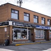 Shamrock Burgers