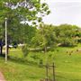 Bickford Park
