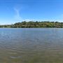 Cootes Paradise - Royal Botanical Gardens