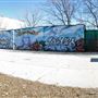 Charles G Williams Park