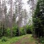Hiawatha Highlands Conservation Area